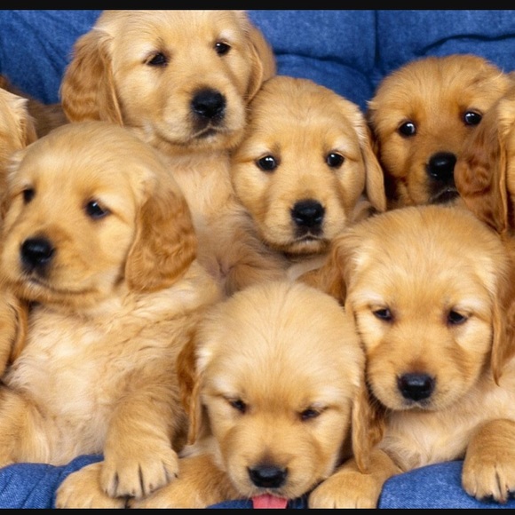 Bundle and Save! - Picture 6 of 10